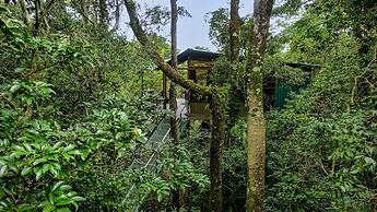 Cabañas La Montaña