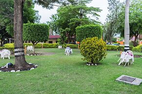 Rwenzori International Hotel