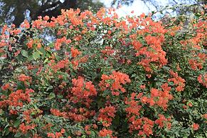 Ratan Vilas, Jodhpur