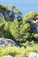 La Maison Narbonnaise