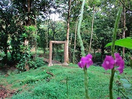 Vanilla Jungle Lodge - Bed & Breakfast