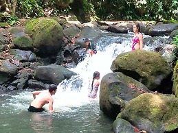 Vanilla Jungle Lodge - Bed & Breakfast