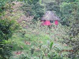Vanilla Jungle Lodge - Bed & Breakfast