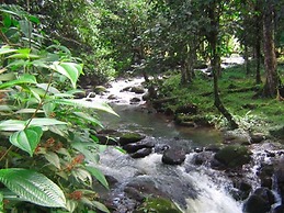 Vanilla Jungle Lodge - Bed & Breakfast