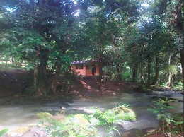 Vanilla Jungle Lodge - Bed & Breakfast