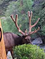 Swiftcurrent Lodge and Cottages by the River