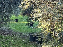 Agriturismo Podere Cortilla