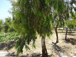 VersoSud - Apartment Vicino Spiaggia 04