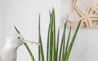 Trilocale Primo Piano Dune