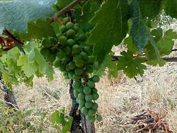 Guest House Casale 920