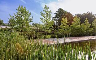 Lankaran Springs & Wellness Resort