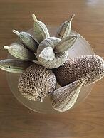 Viver Trancoso Chalés e Suítes