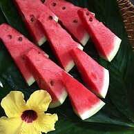 Viver Trancoso Chalés e Suítes