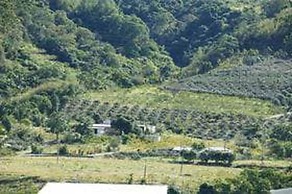 Taitung Fulu Homestay