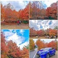 Taitung Fulu Homestay