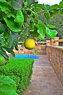 Mastiha Villas in Town