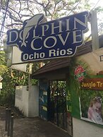 Mystic Ridge Paradise