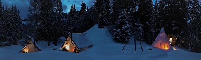 Altipik