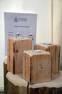 Altipik