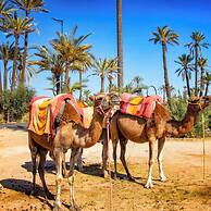 Residence La perle de l'atlas