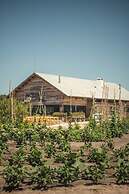 Quinta da Comporta Wellness Boutique Resort