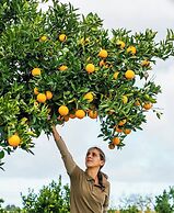 Quinta da Comporta Wellness Boutique Resort