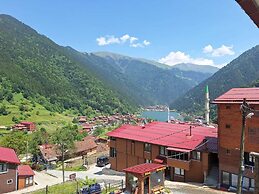Uzungol Ozbek Apart