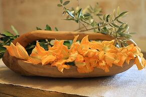 TD Casale Terranova Stone Farmhouse with Pool