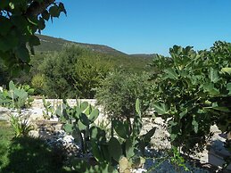 Trulli della Contessa