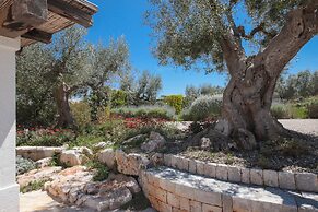 TD Trulli di Montaltino with Stunning Huge Pool
