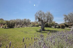 TD Trulli di Montaltino with Stunning Huge Pool