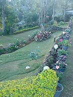 Windsor Forest Bungalow