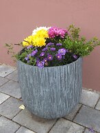 Gasthof zum Löwen Enzklösterle