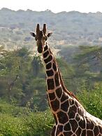 Laikipia Eco Cottages