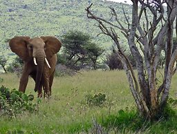 Laikipia Eco Cottages
