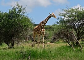 Laikipia Eco Cottages