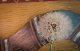 Bio Glamping Toscana Luxury Tents