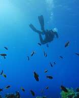 Thambara Villa Unawatuna