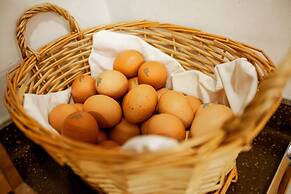 Step Inn Myeongdong 2 - Hostel