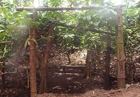 Salaams Raama Heritage Eco Village