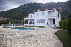 Villa Olivia by Amy Villas