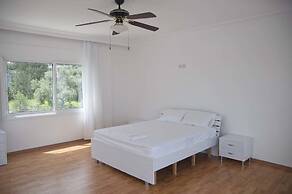 Villa Olivia by Amy Villas