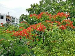 Spring Light Apartment
