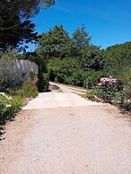 La Borrellienne
