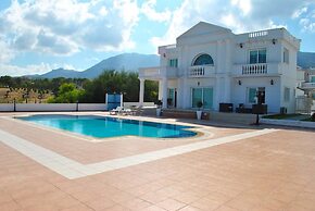 Villa Roman by Amy Villasa