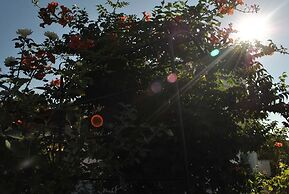 Villa Rose by Amy Villas