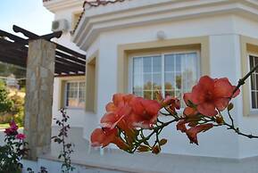 Villa Rose by Amy Villas