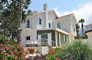 Villa Sabrina by Amy Villas