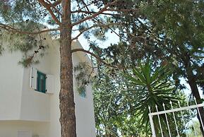 Villa Sabrina by Amy Villas