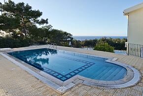 Villa Tortuga by Amy Villas